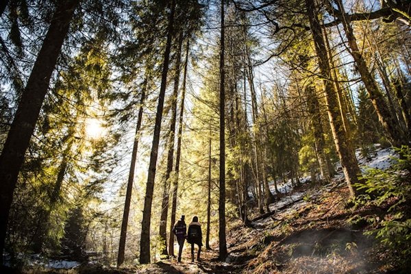 Découvrez les plus beaux sentiers de la Vanoise
